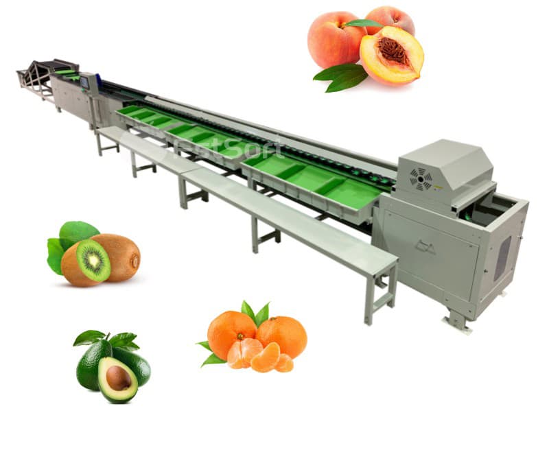 images/1654589497166Electronic Weighing Classifier.jpg